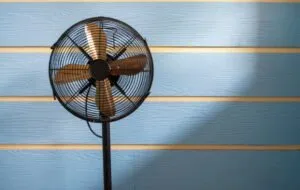 The guide to buying a fan; Types, Importa Purchase and Best Sale Tips