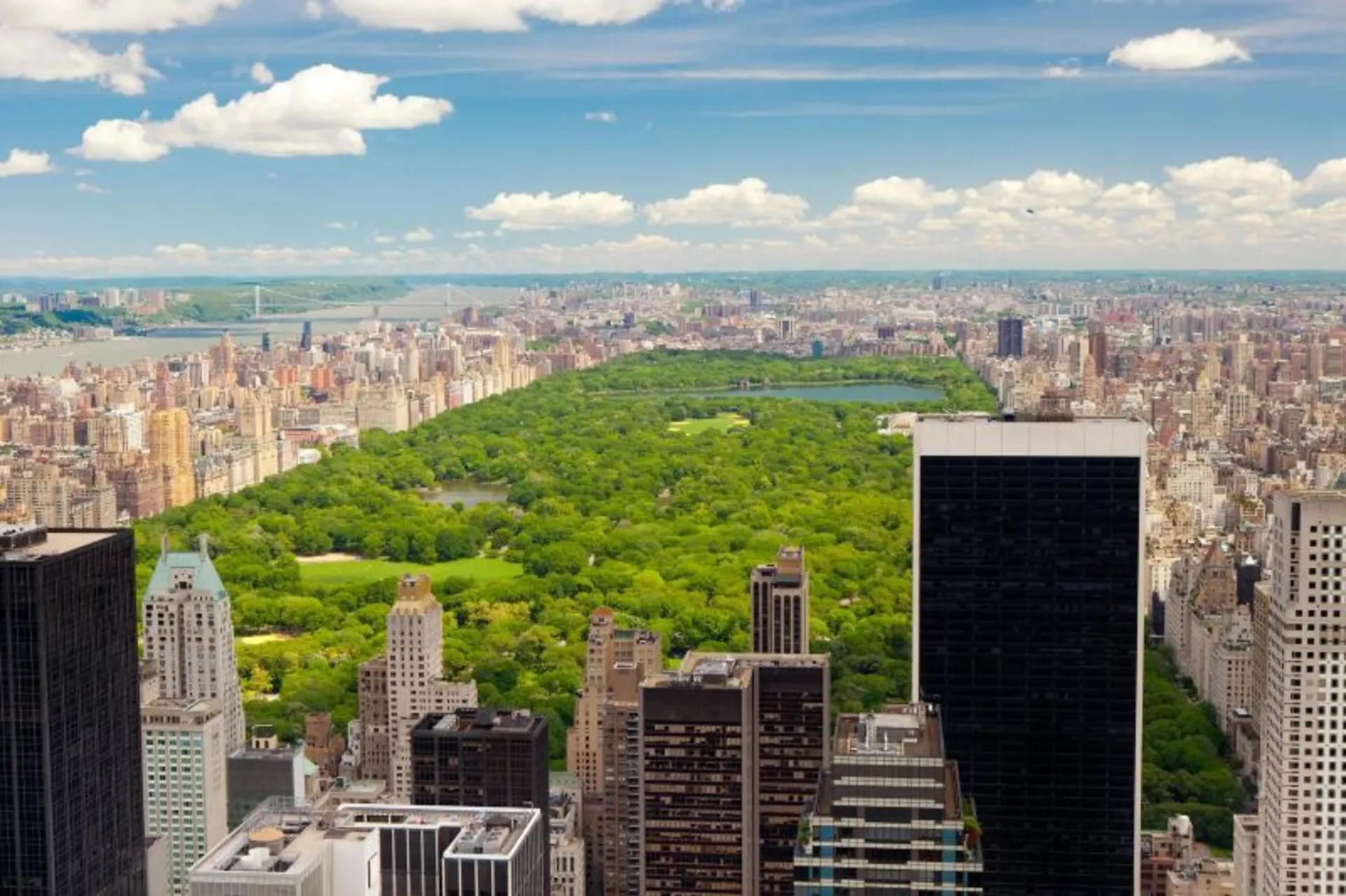 Central Park New York surrounded by buildings