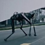 Black Panther Robotics Dog