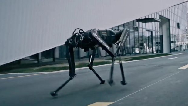 Black Panther Robotics Dog