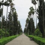 Ramsar Moallem Boulevard and trees