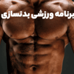 Reaching the desired body with a dedicated program