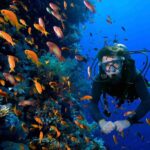 What is the diving in Qeshm? Underwater experience in Negin Beach