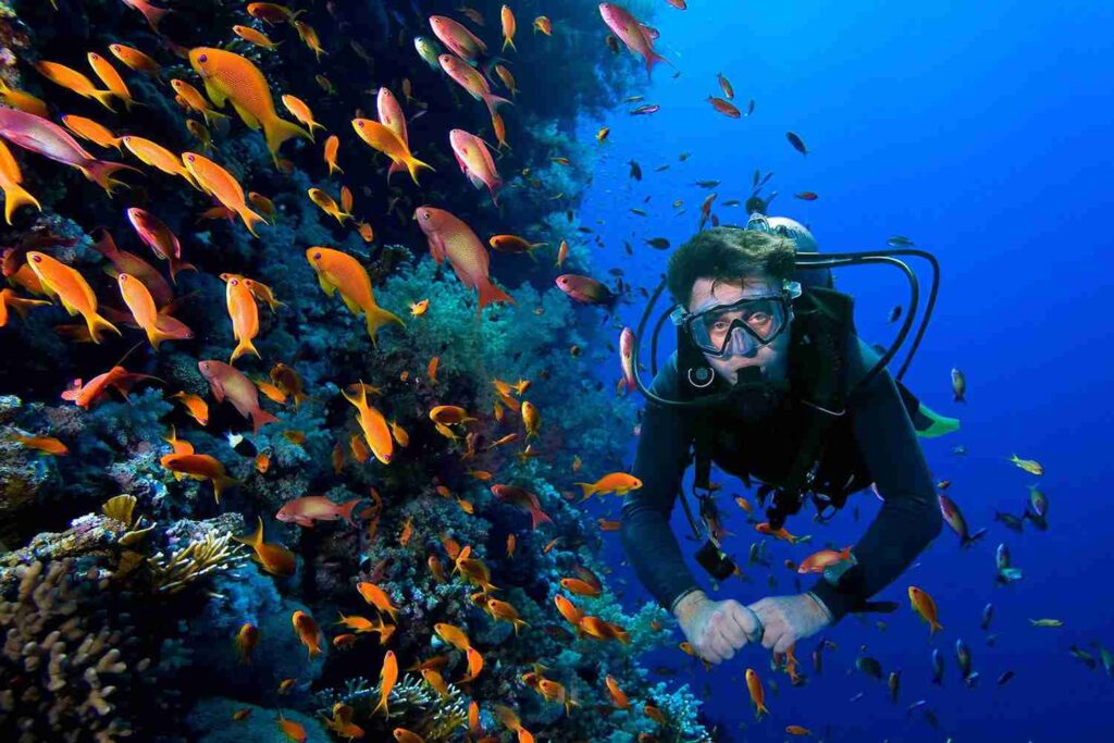 What is the diving in Qeshm? Underwater experience in Negin Beach