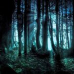 Where is Mashhad Scream Forest? The mysterious secrets and stories of the forest