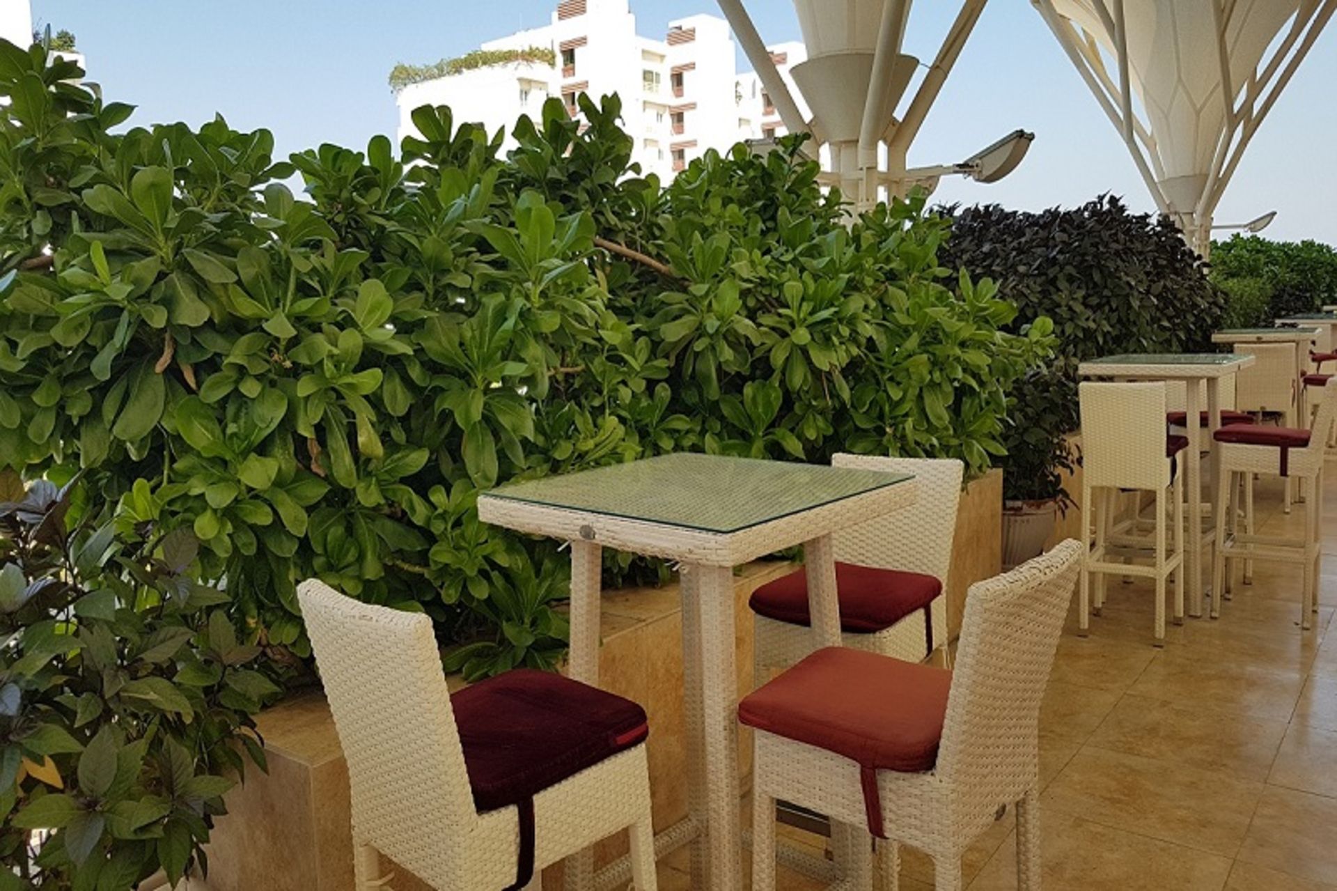 Damon Kish terrace