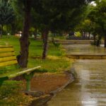 Yasuj Beach Park bench in the rain