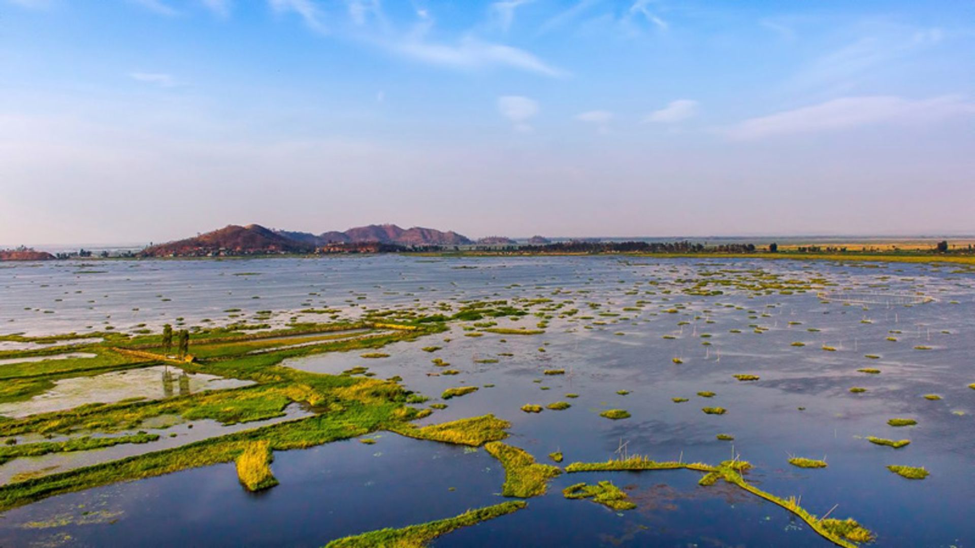 Shallow waters in the Lamjao Kibol Floating National Park