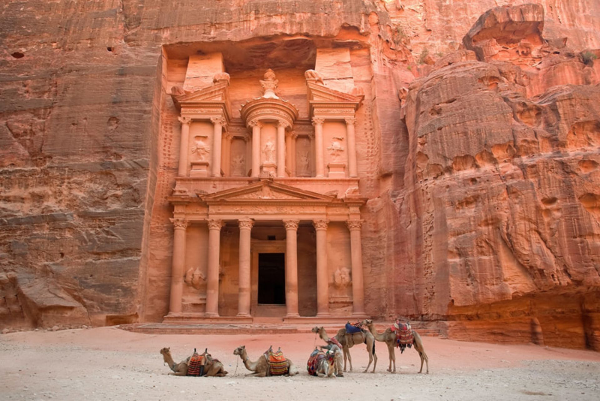 Camels in fro of the Petra City Structure