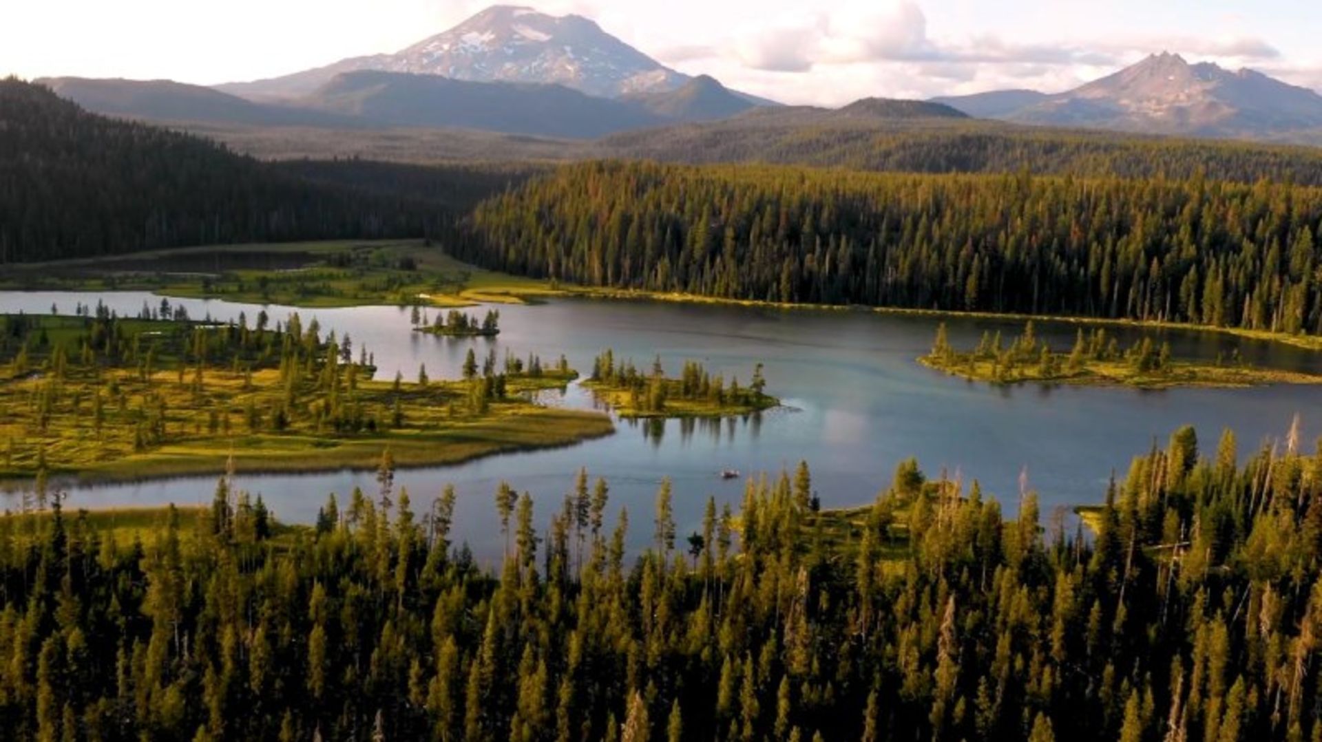 Nature of the Oregon Band