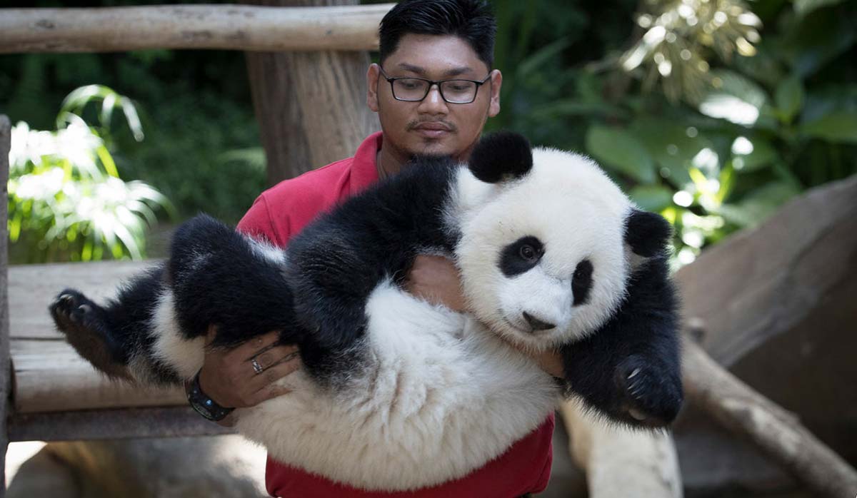 15 Ieresting Truth About China