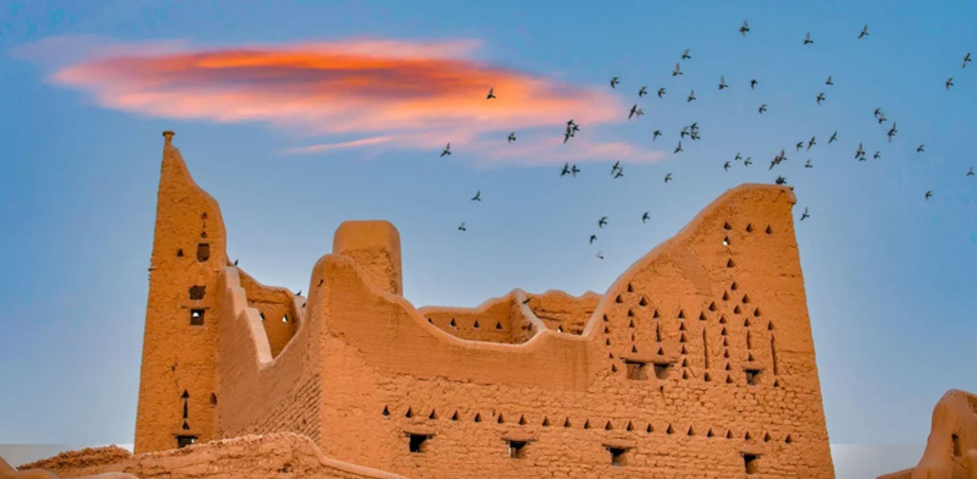 Birds over the historic castle
