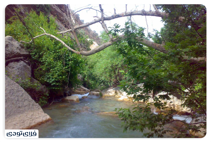 Boan Strait Accommodation facilities and experience of local culture