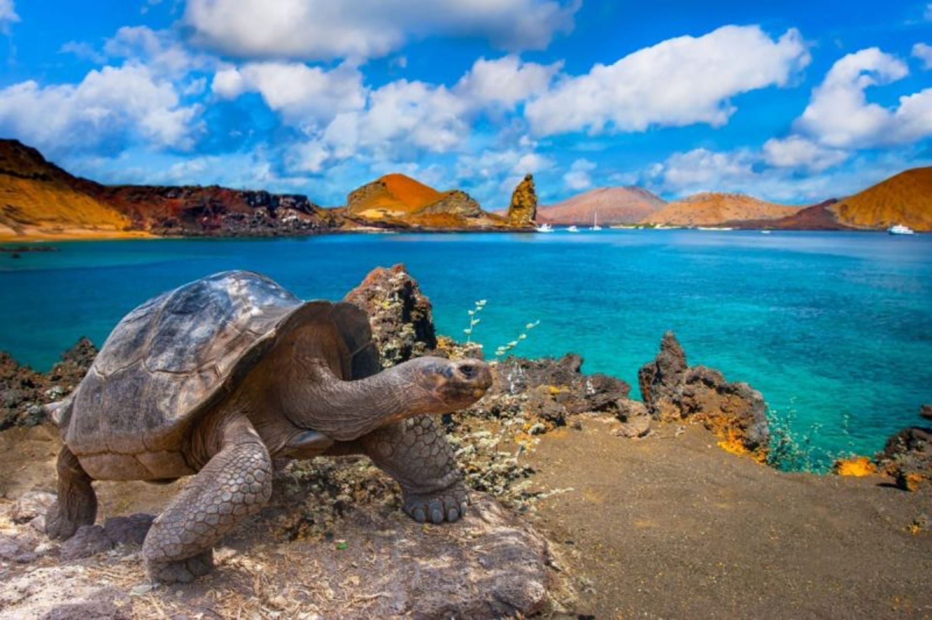 Sea, cloudy sky and orange hills of Galapagos Islands 