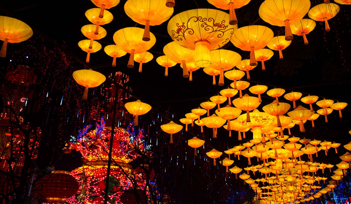 Laern Festival