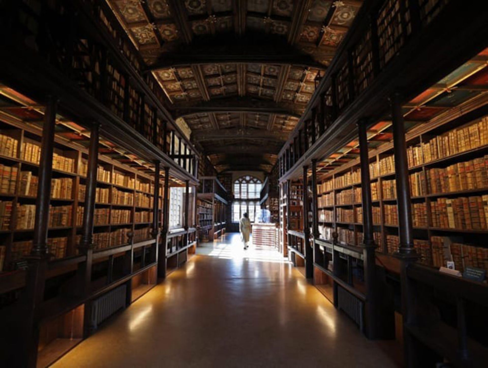 Long corridor of the Duke Humphrey Library Alexford with wooden book shelves and carved roofs