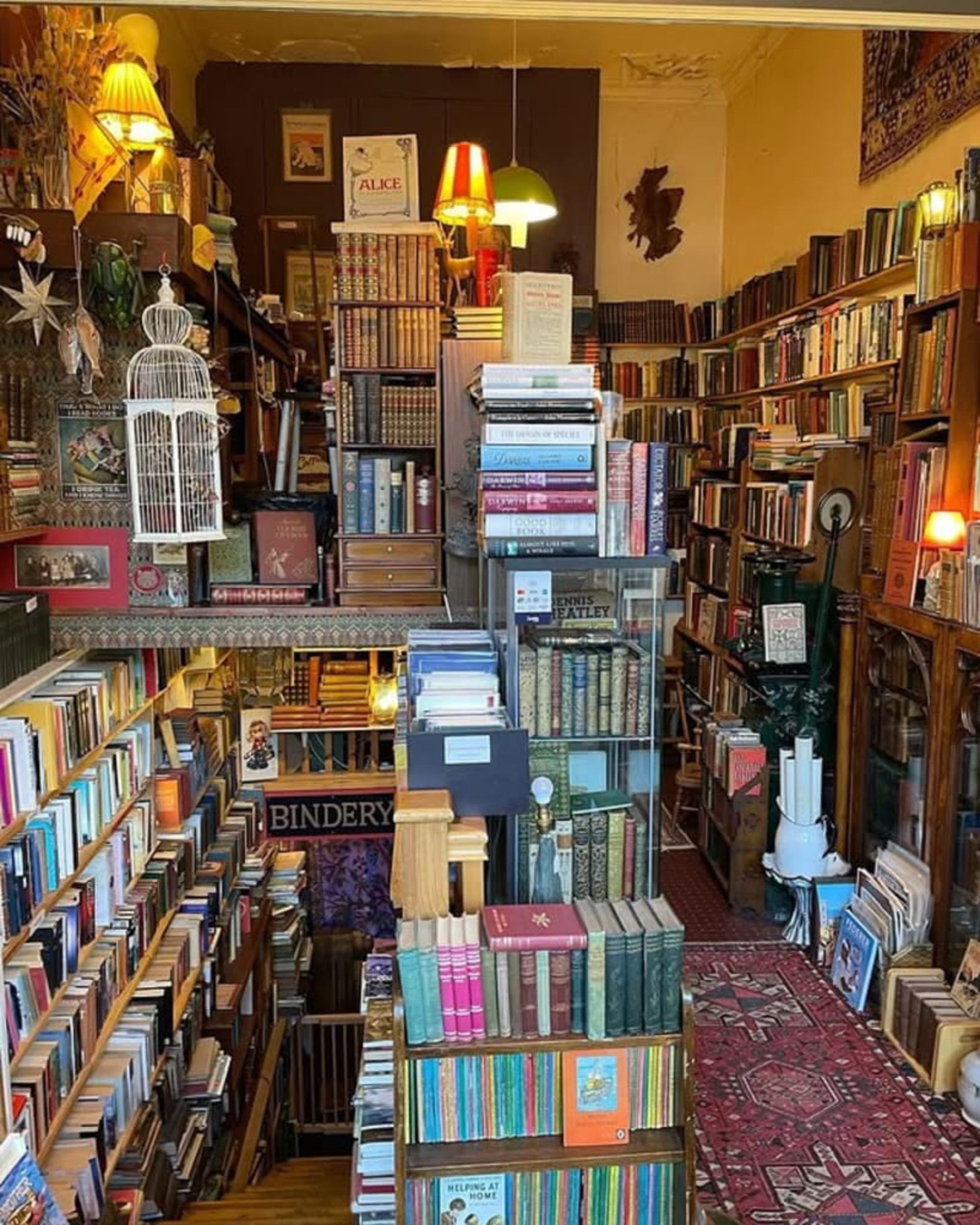 Classic ierior and long shelves full of old books in Gele Bookstore Bookstore, Britain