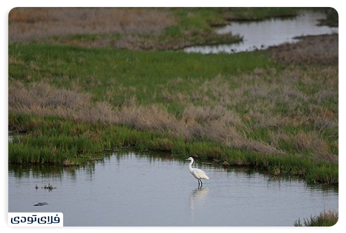Spectacular places of Salmas Aq Pilgrimage Wetland