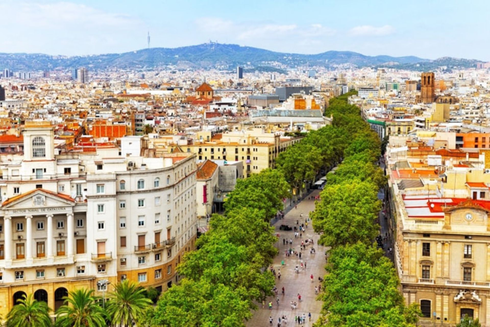 Aerial Landscape of Green Boulevard in Barcelona