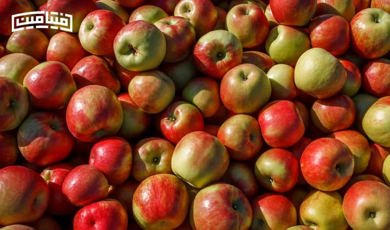 Benefits of apples