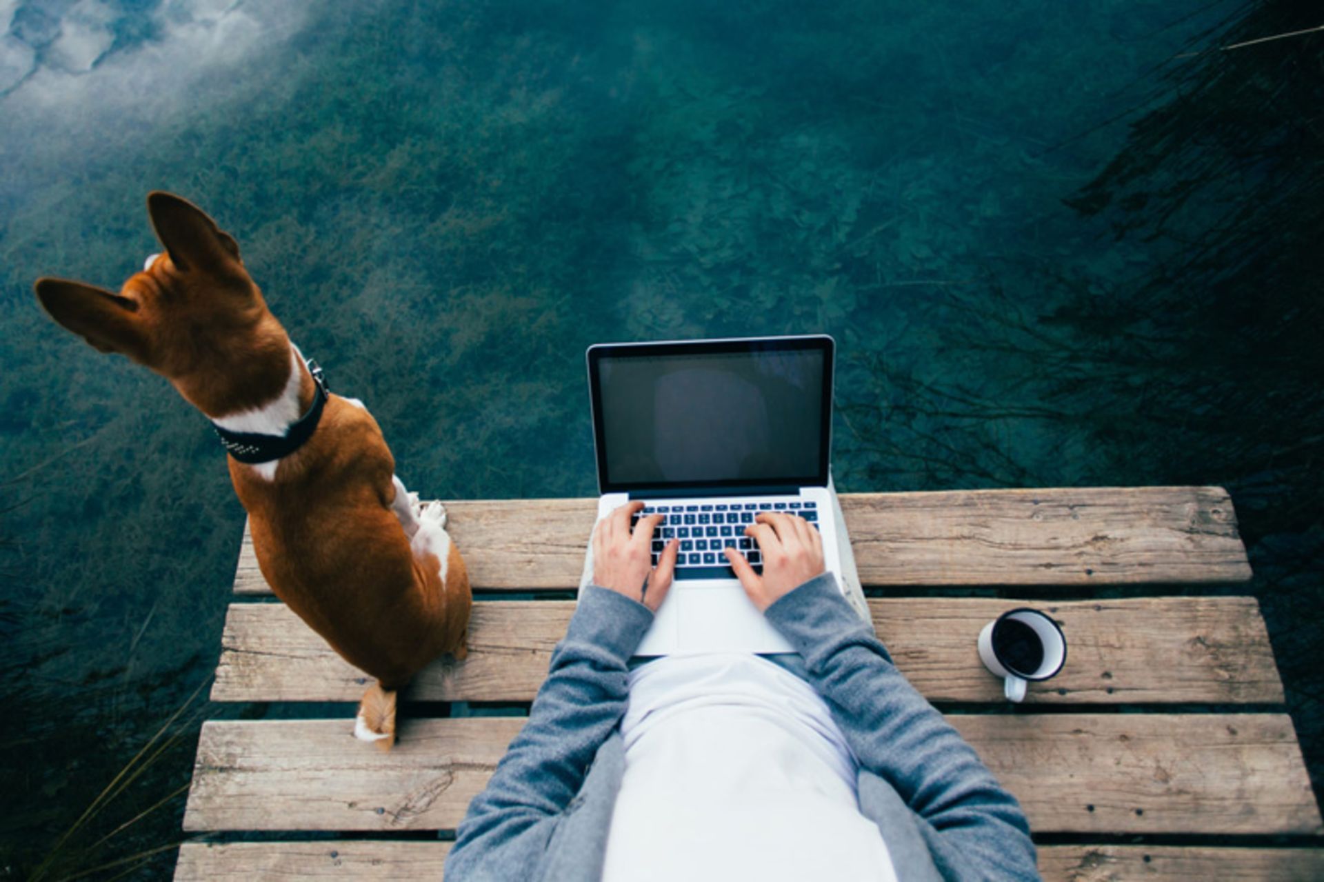 Digital Faithful Face to Work in Nature