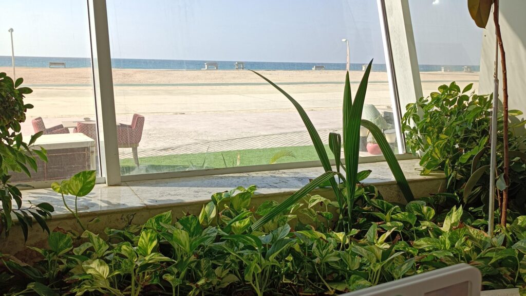 Darwish Cottage Beach Restaura