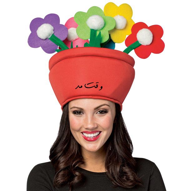 Examples of the Flower Pot Hat Model of the Flower Pot Hat