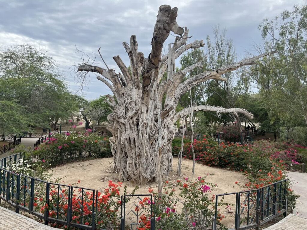 Green tree