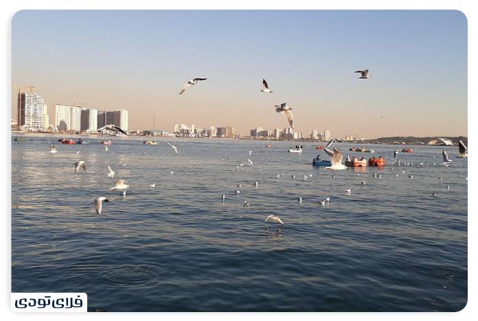 Lake Chitgar Tehran Lake | Iroducing fun and eertainme