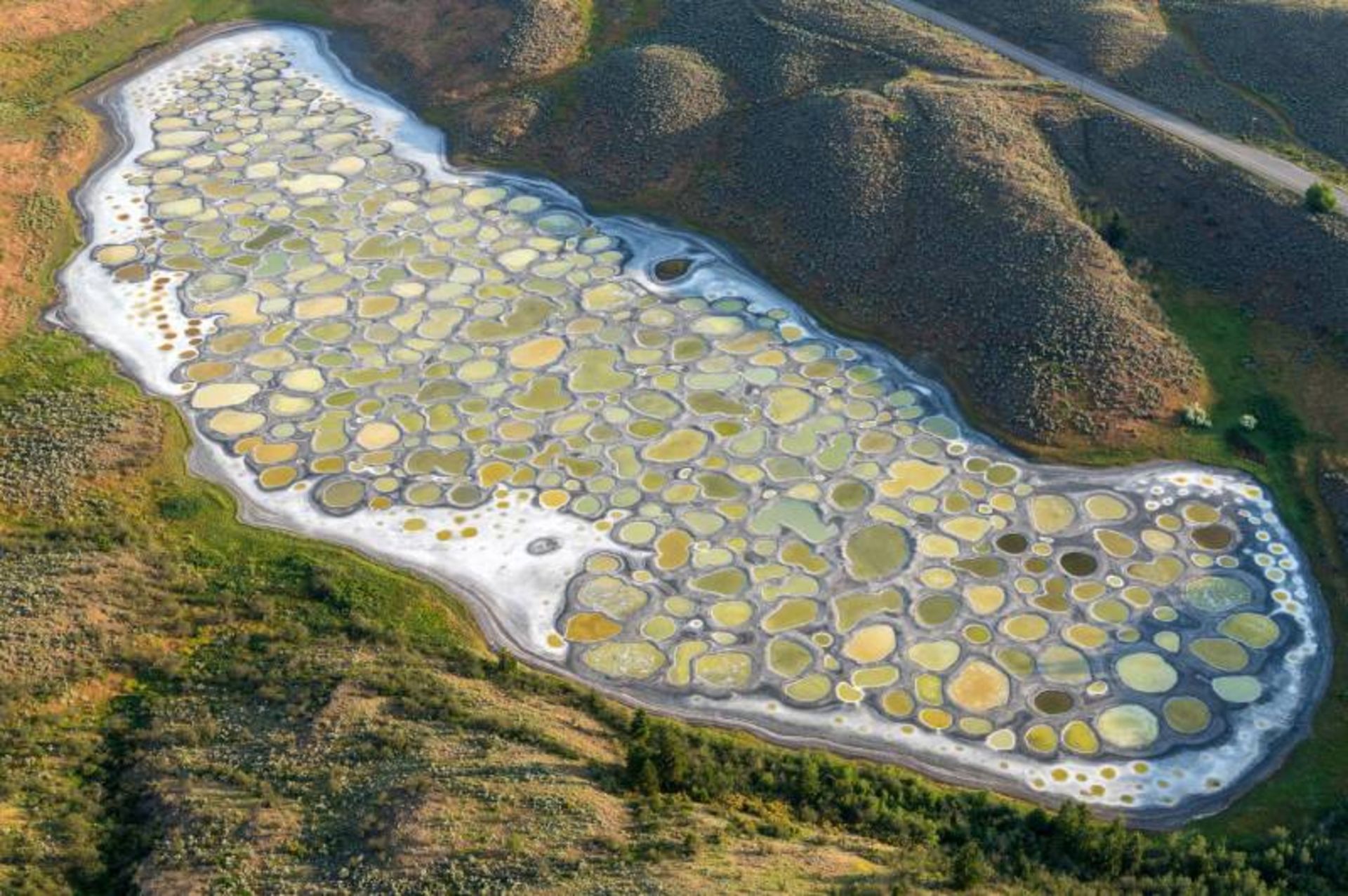 Circular shapes in the lake under sunlight in British Columbia