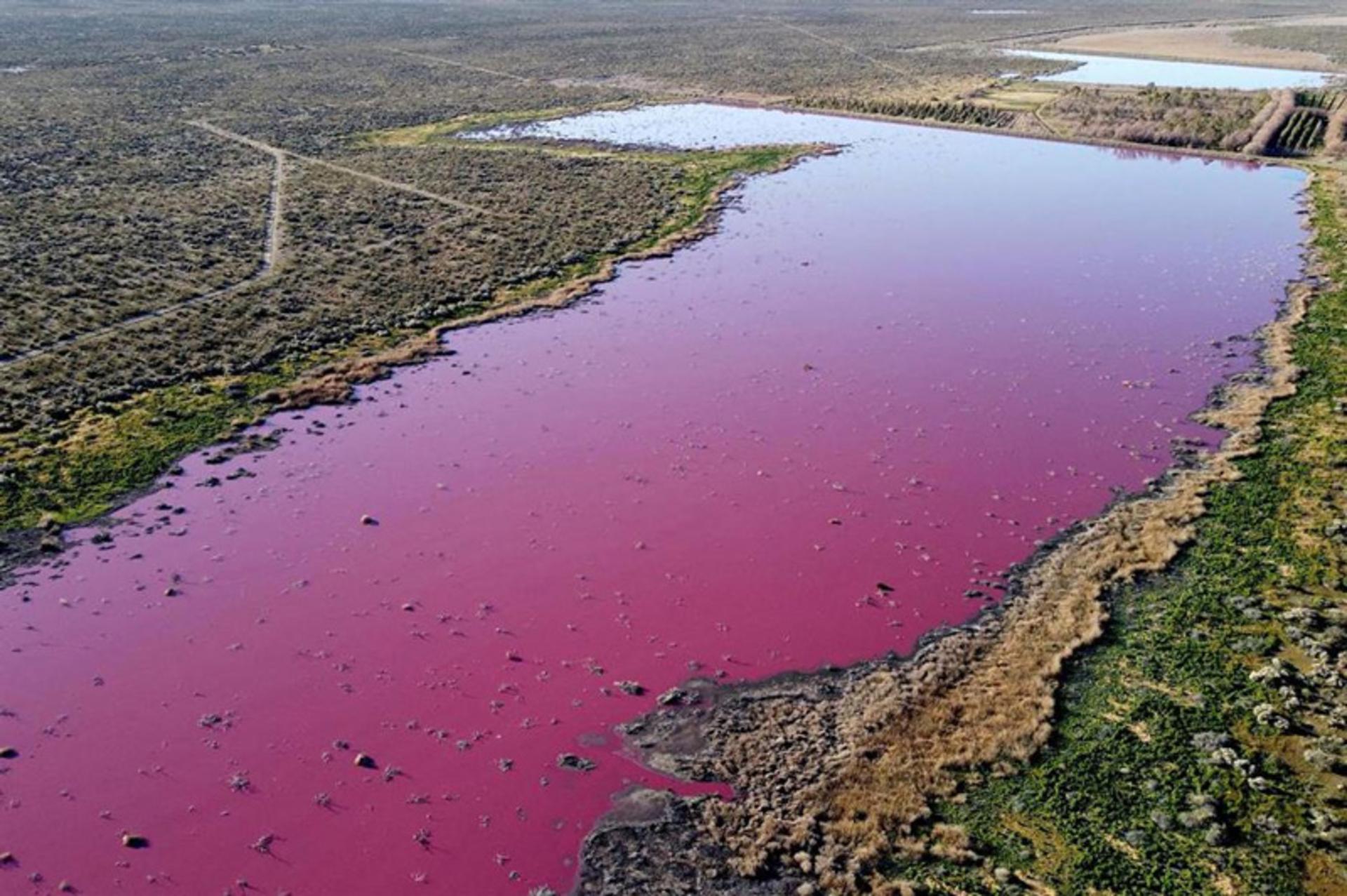 Chubot River coamination in Patagonia