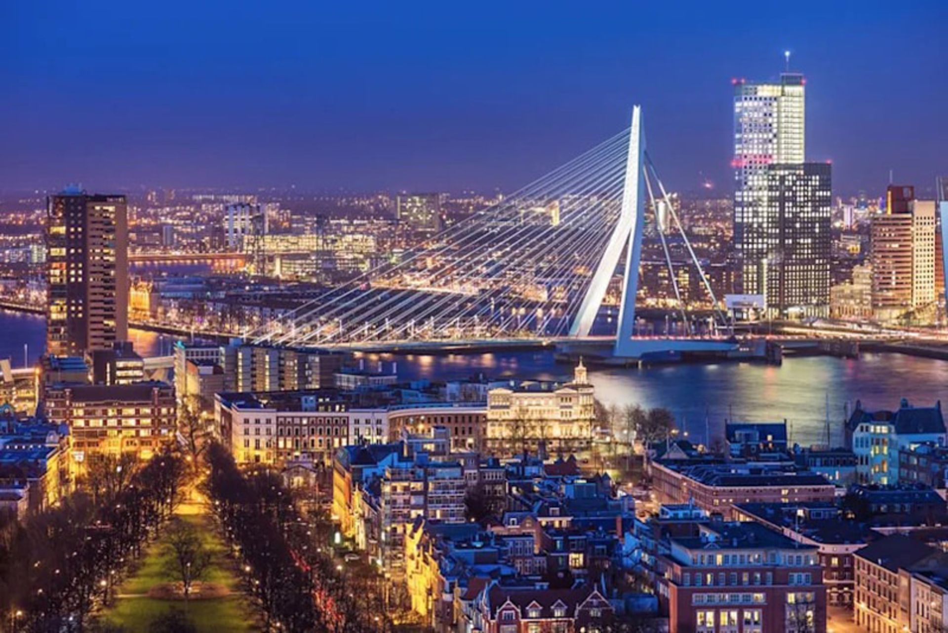 Rotterdam's nightly view 