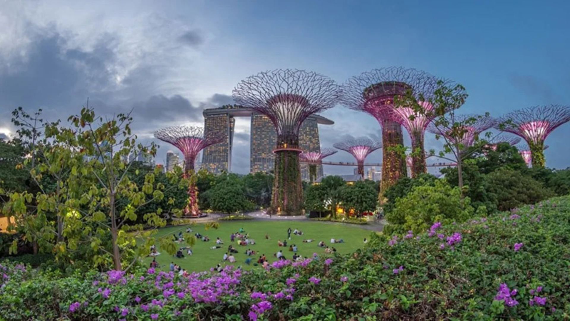 Gia Trees of Singapore Bay Garden in Sunset