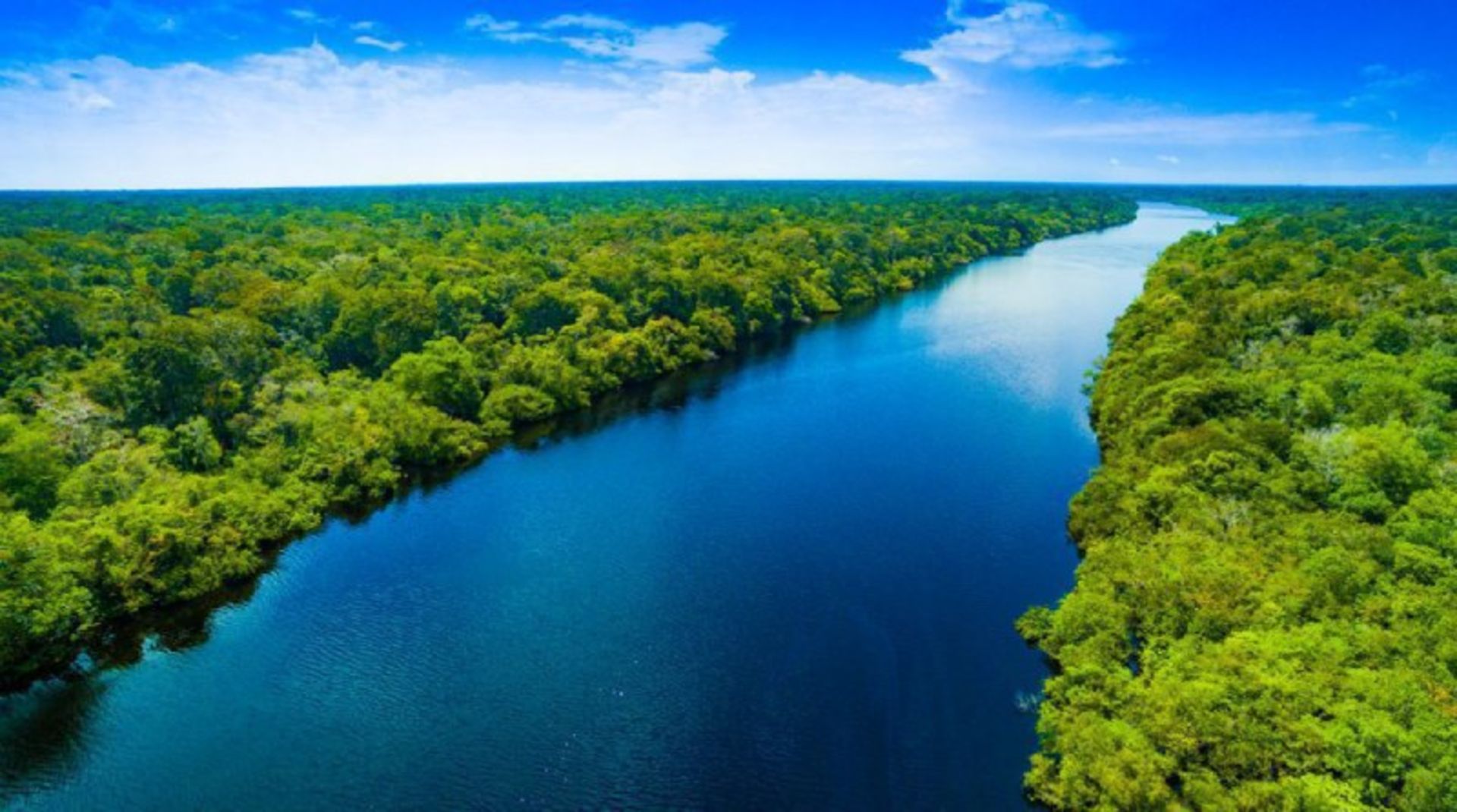 Amazon River and surrounding vegetation