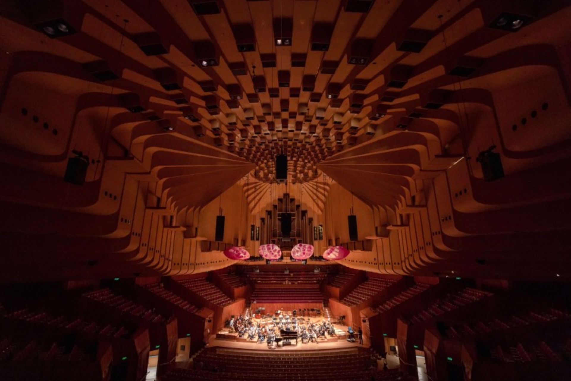 The ierior of the Sydney Opera House