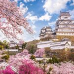 Everything About the Himji Castle, Japan's largest castle