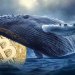 bitcoin-flash-crash-blamed-crypto-whales-big-eth-trades
