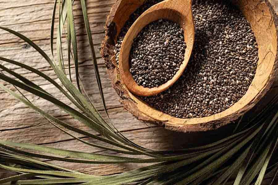 Chia