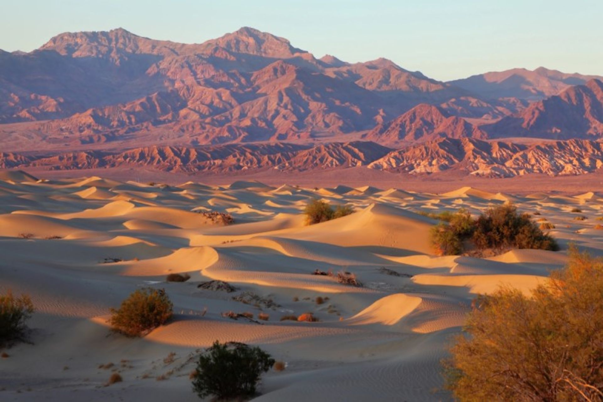 Nature of the Valley of Death