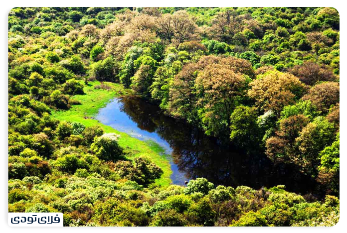 Where is Golestan National Park?