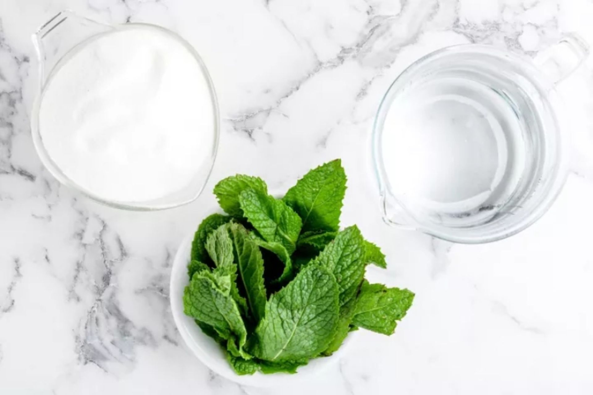 Sugar, vinegar and mint for making syrup