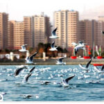 Lake Chitgar Tehran