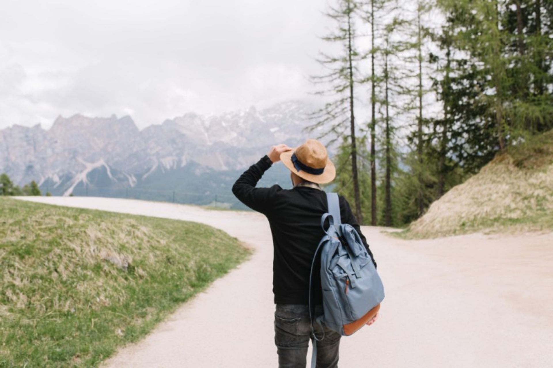 Road trip in nature