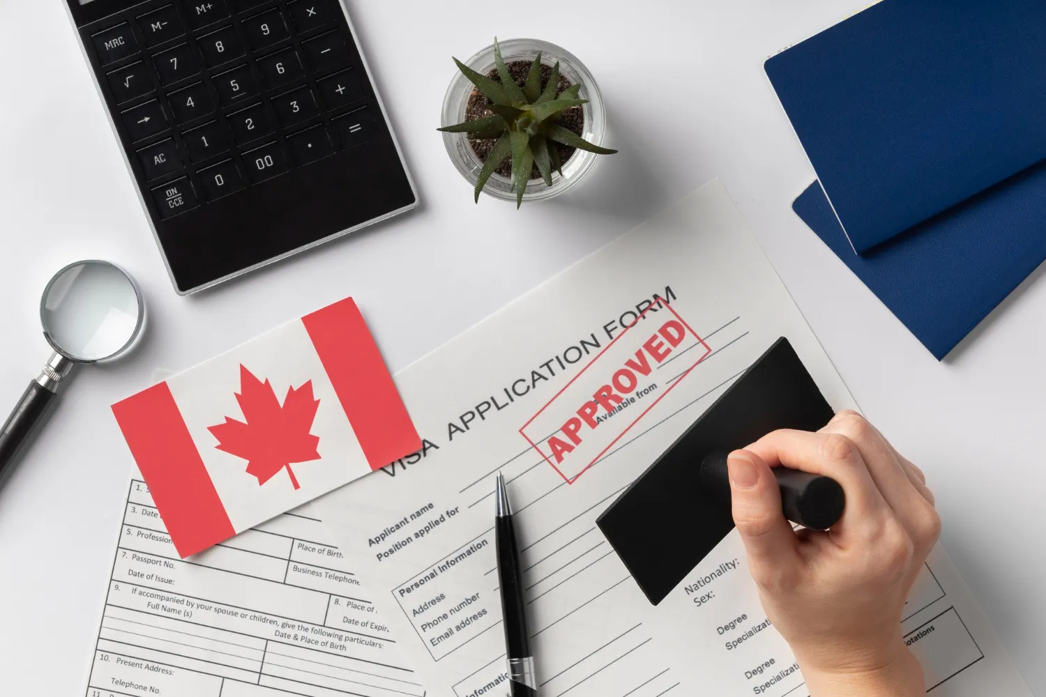 Where can the Canadian tourist visa go?