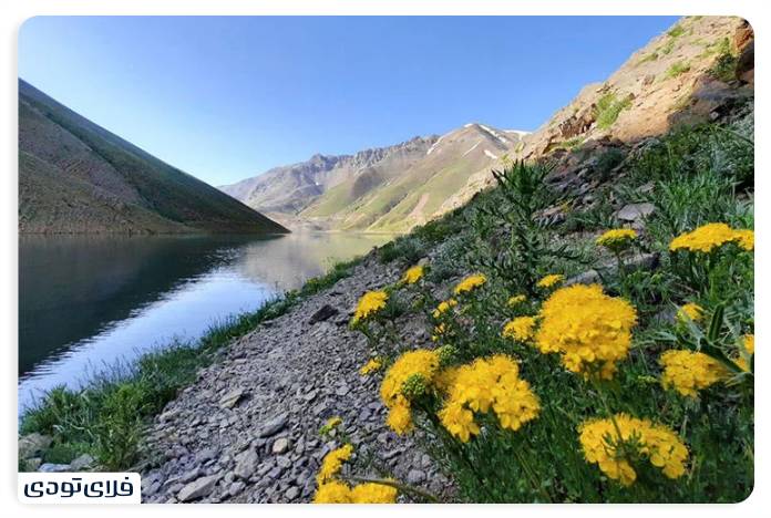 Lake Tar in Spring