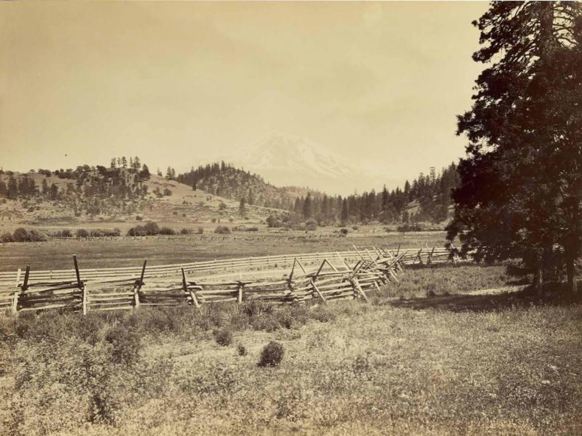 An old picture of the nature of the Shasta Mouain 