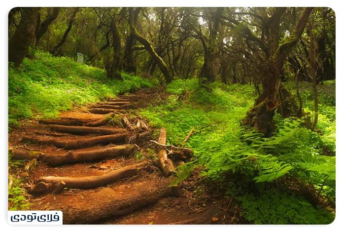 Natural Parks and Walking