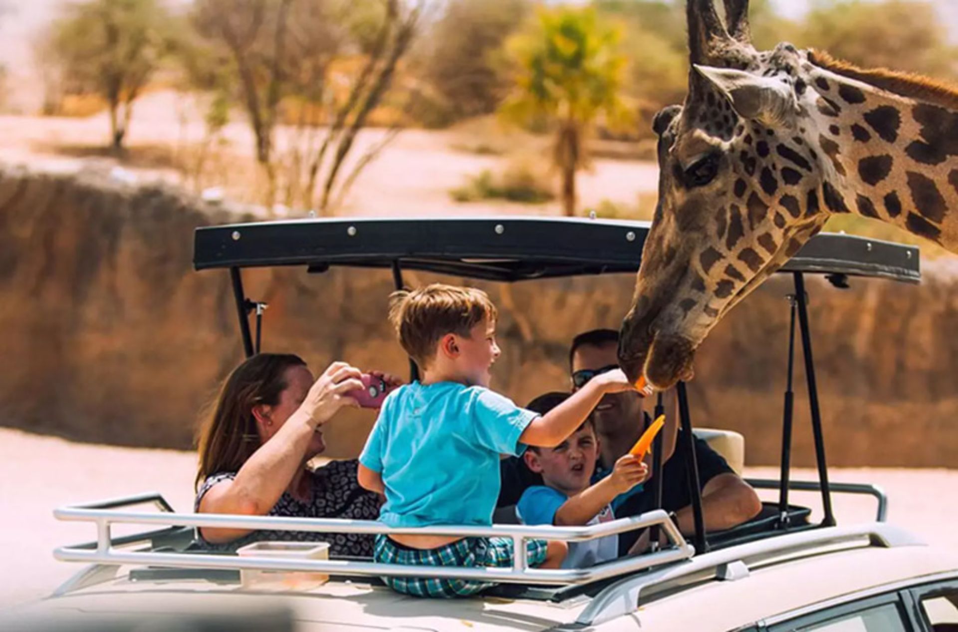 Playing children with giraffes in Safari al -Ain Abu Dhabi
