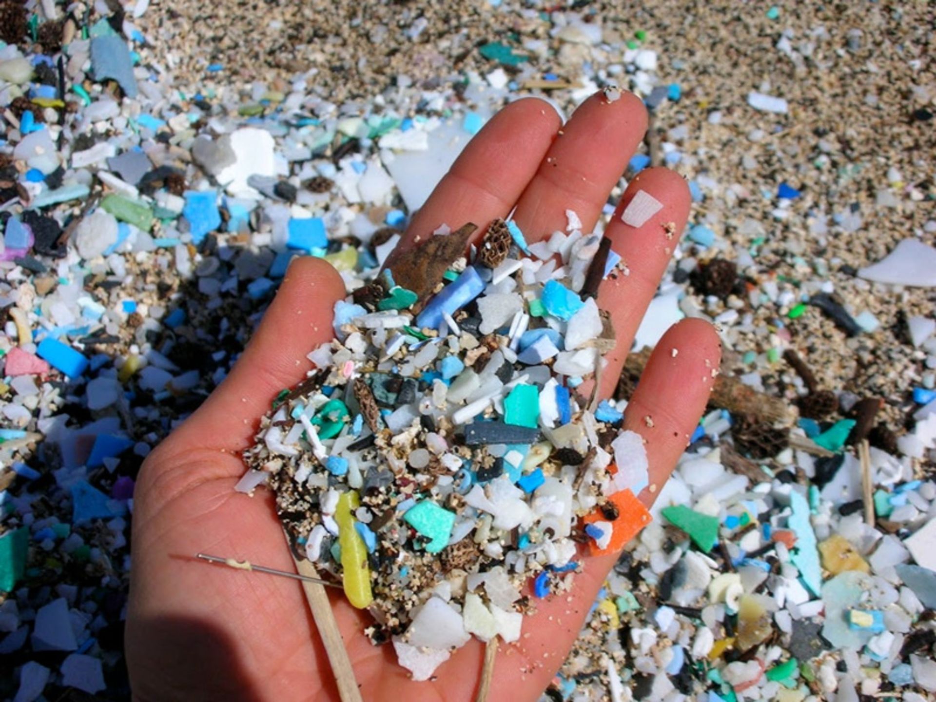 Soil microplastic coamination