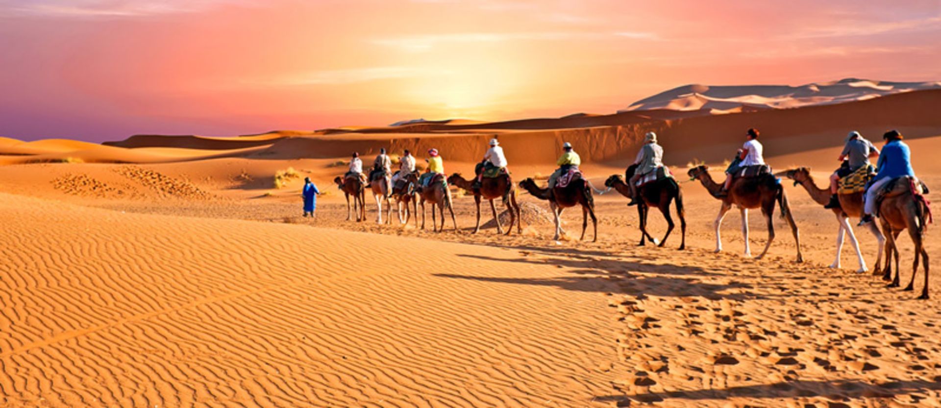 Caravan of camels in the quarter -al -Khali al -Khali